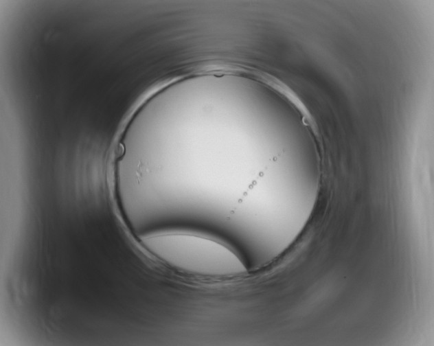 X0000099981195200805231016