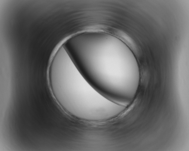 X0000099981196200805231016