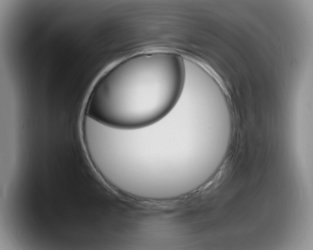 X0000099981197200805231016