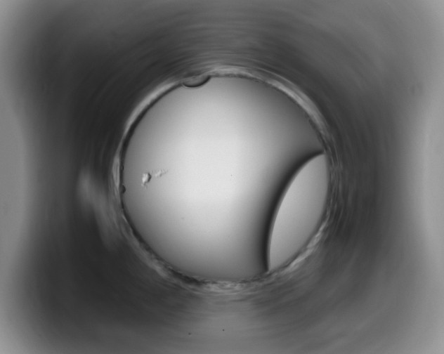 X0000099981198200805231016