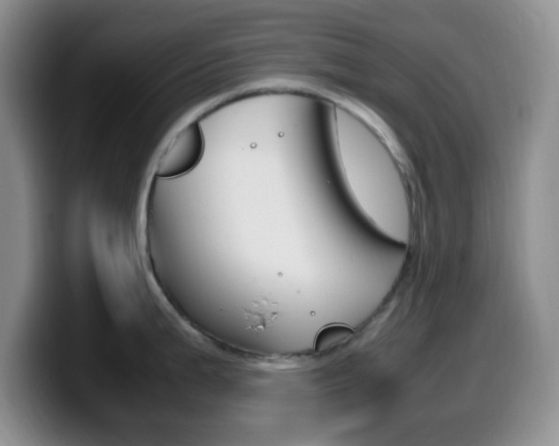 X0000099981199200805231016