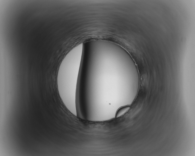 X0000099981202200805231016