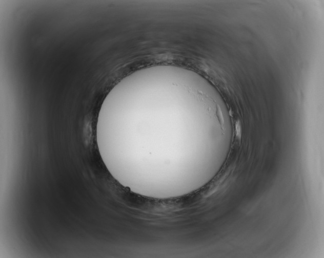 X0000099981203200805231016