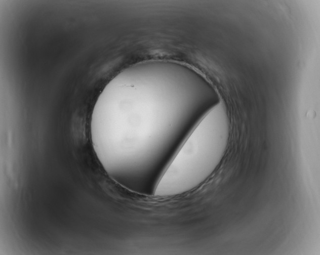 X0000099981205200805231016