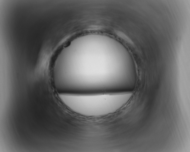 X0000099981208200805231016