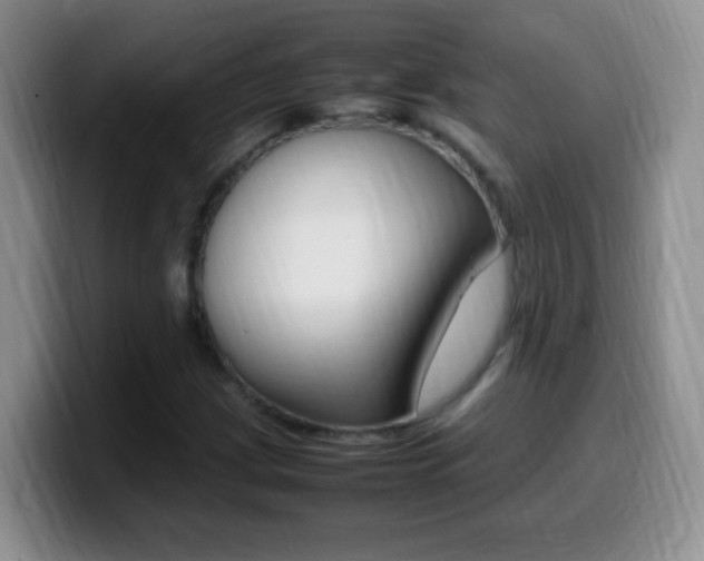 X0000099981209200805231016