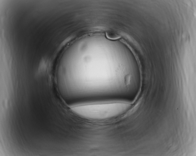 X0000099981210200805231016