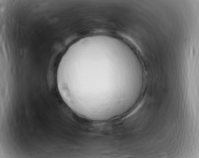 X0000099981211200805231016