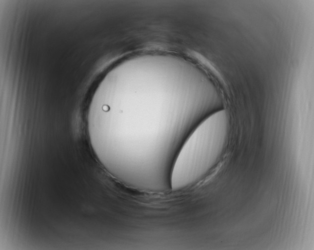 X0000099981215200805231016