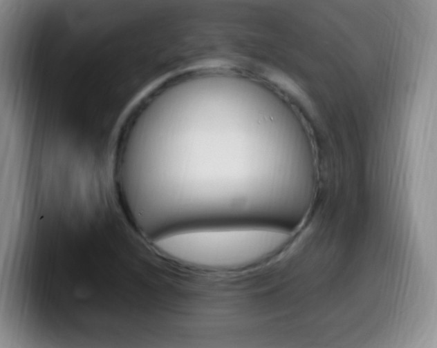 X0000099981216200805231016