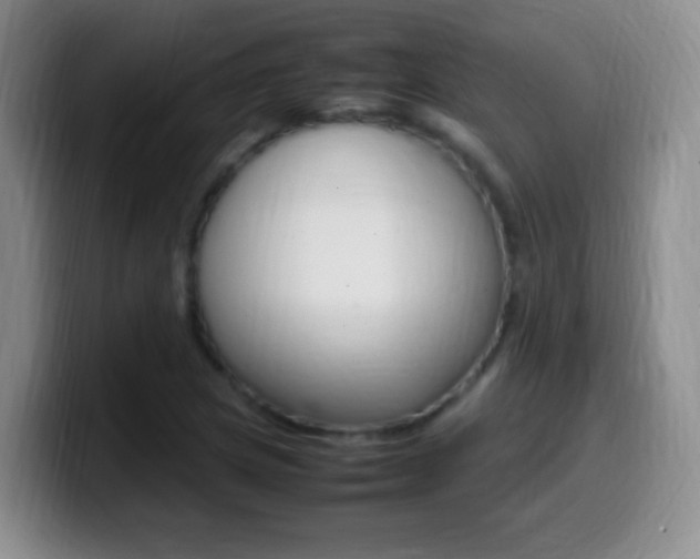 X0000099981217200805231016