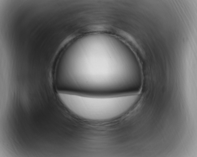 X0000099981218200805231016