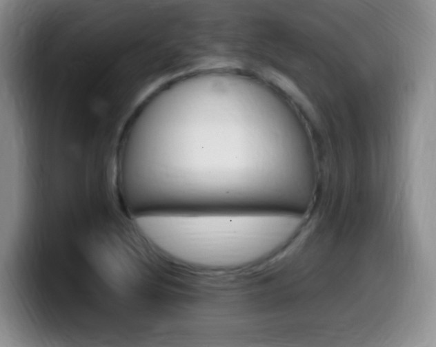 X0000099981220200805231016