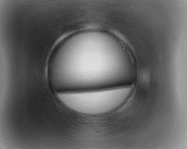 X0000099981222200805231016
