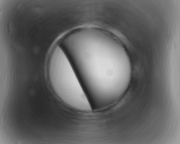 X0000099981224200805231016