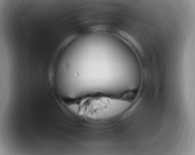 X0000099981225200805231016