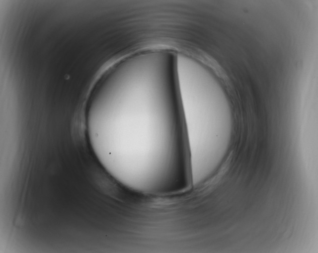 X0000099981226200805231016
