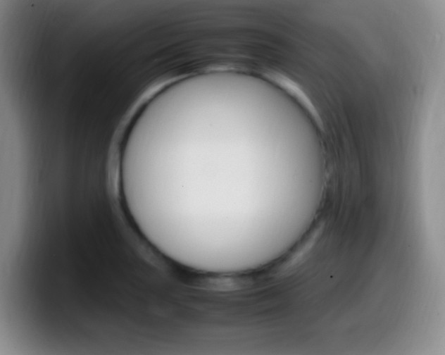 X0000099981227200805231016