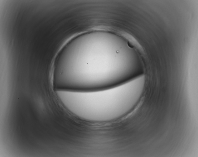 X0000099981228200805231016