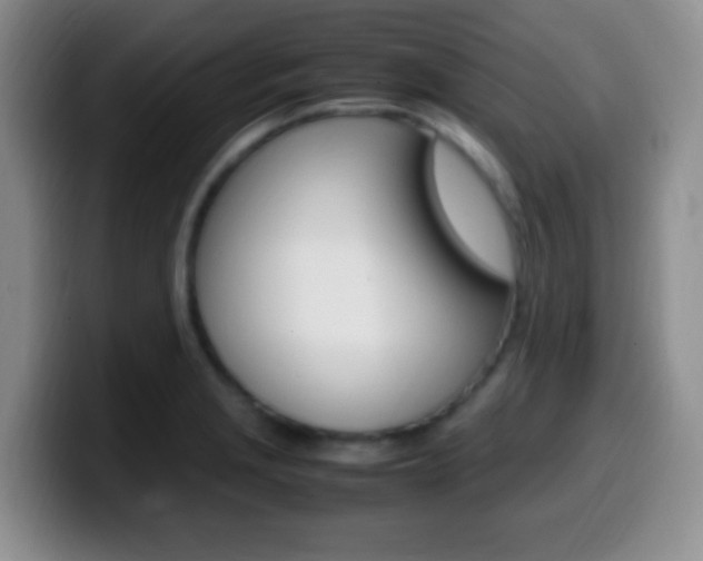 X0000099981229200805231016