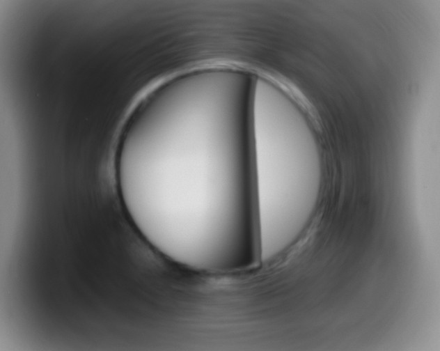X0000099981230200805231016
