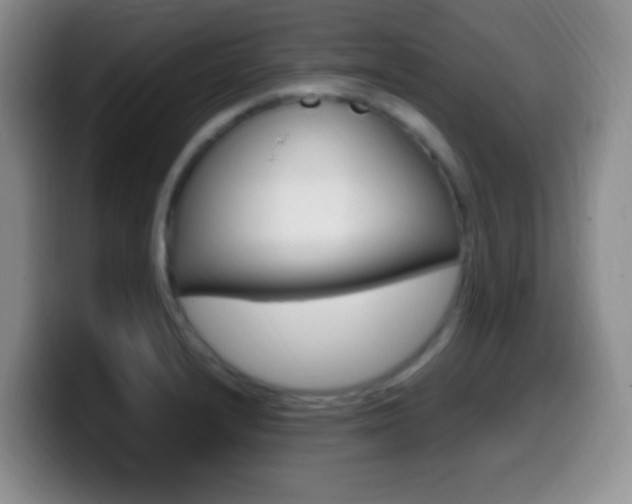X0000099981232200805231016