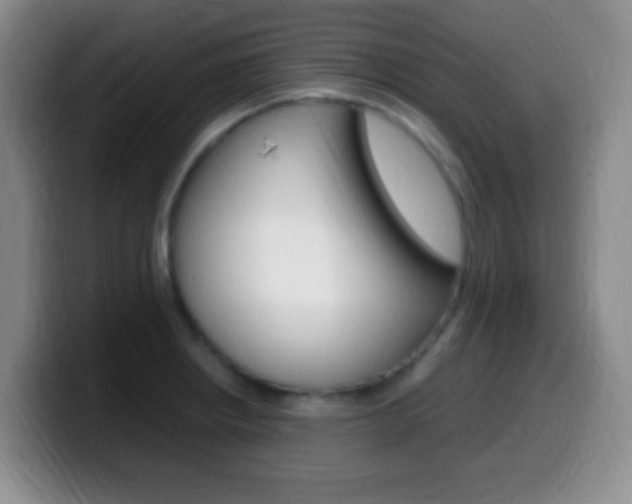 X0000099981234200805231016