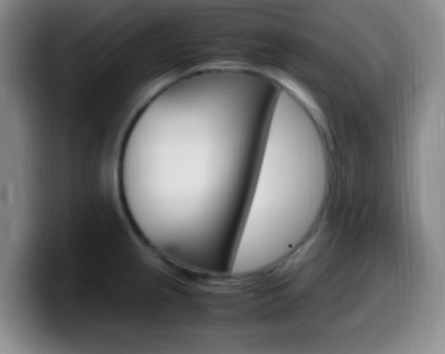 X0000099981237200805231016