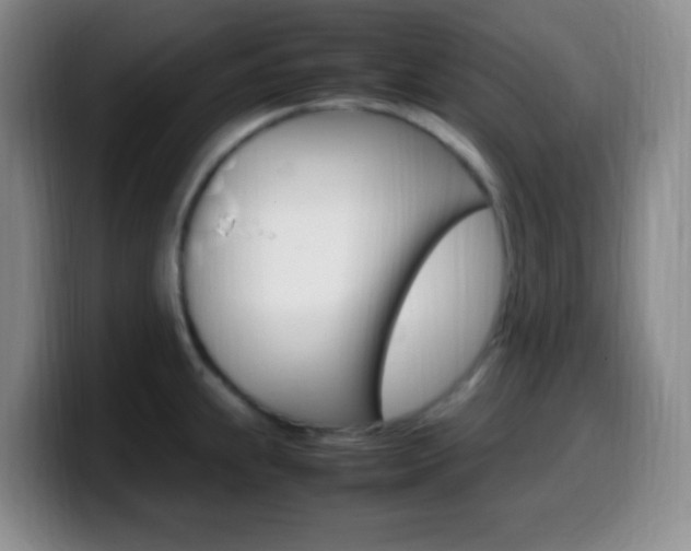 X0000099981239200805231016