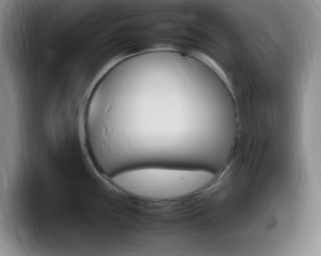 X0000099981243200805231016