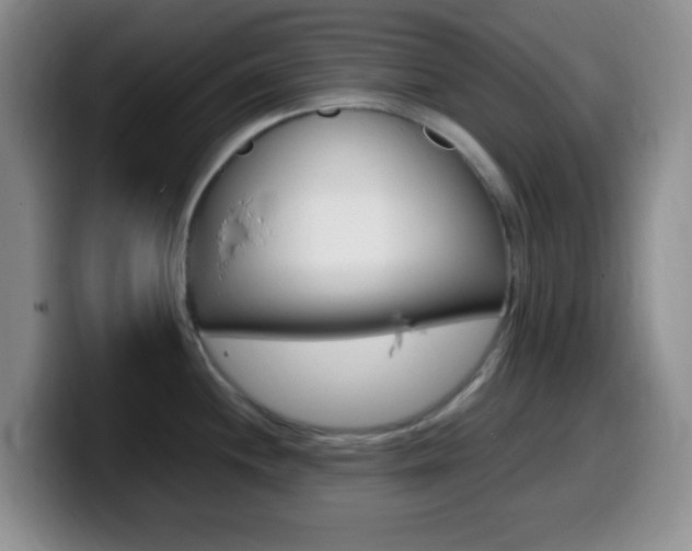 X0000099981244200805231016