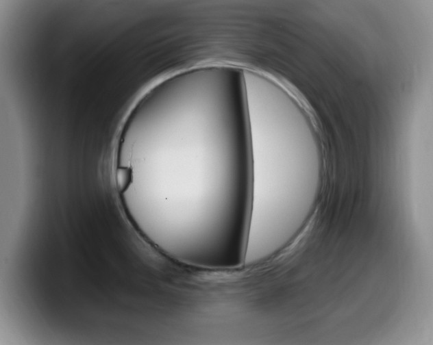 X0000099981246200805231016