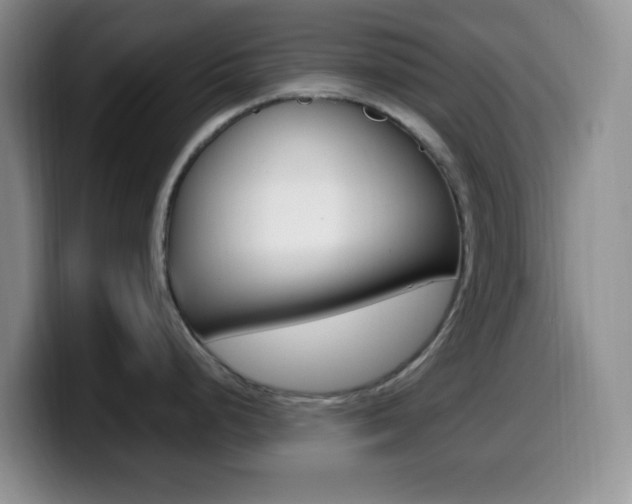 X0000099981248200805231016