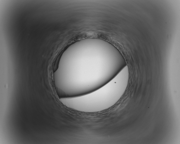 X0000099981249200805231016