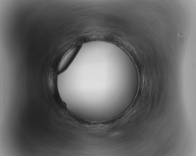 X0000099981250200805231016