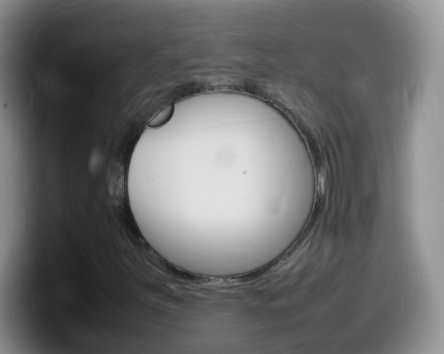 X0000099981251200805231016
