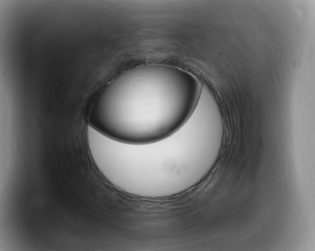 X0000099981252200805231016