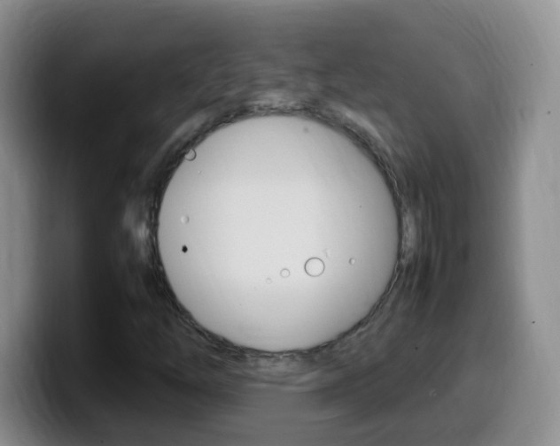 X0000099981254200805231016