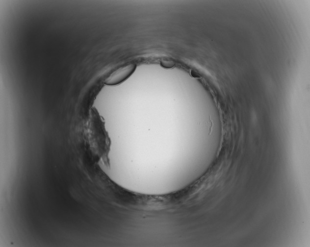 X0000099981255200805231016