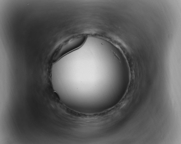 X0000099981256200805231016
