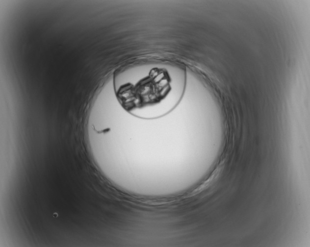 X0000099981257200805231016