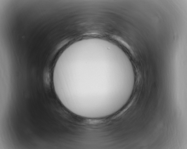 X0000099981258200805231016
