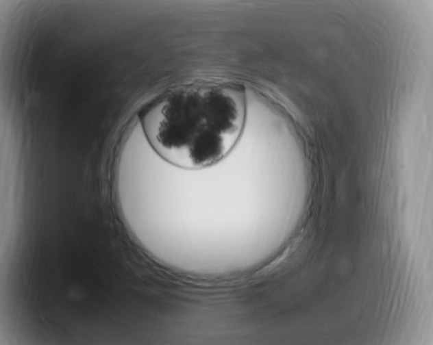 X0000099981261200805231016