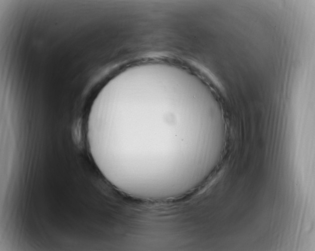 X0000099981262200805231016