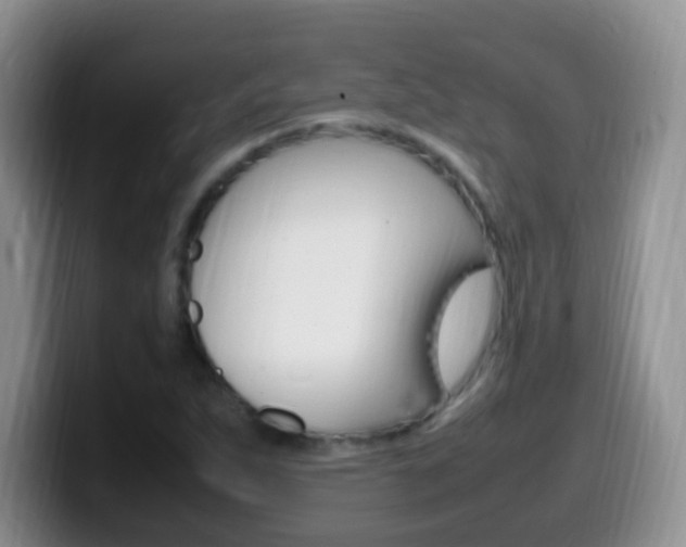 X0000099981263200805231015