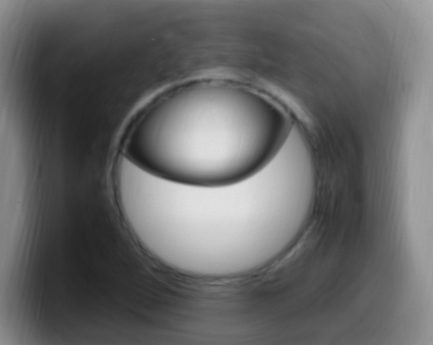 X0000099981264200805231015