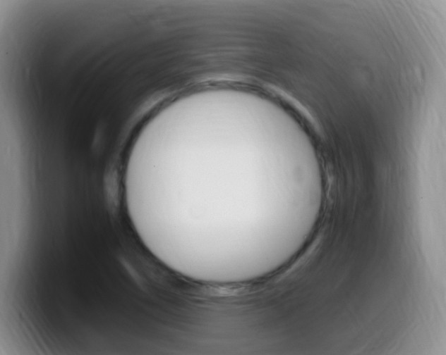 X0000099981266200805231015
