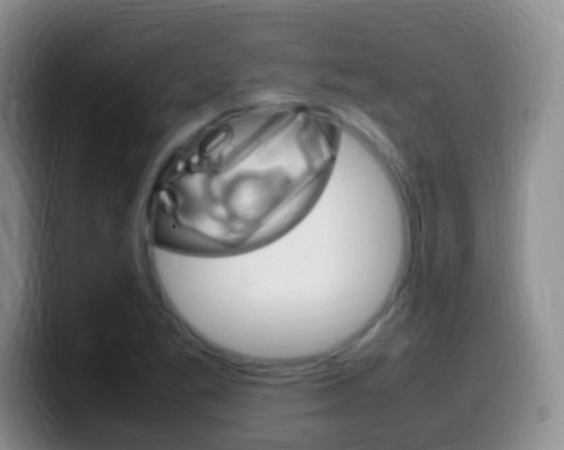 X0000099981269200805231015