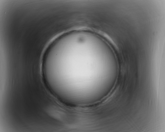 X0000099981270200805231015