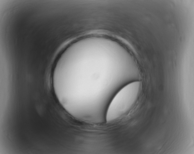 X0000099981271200805231015